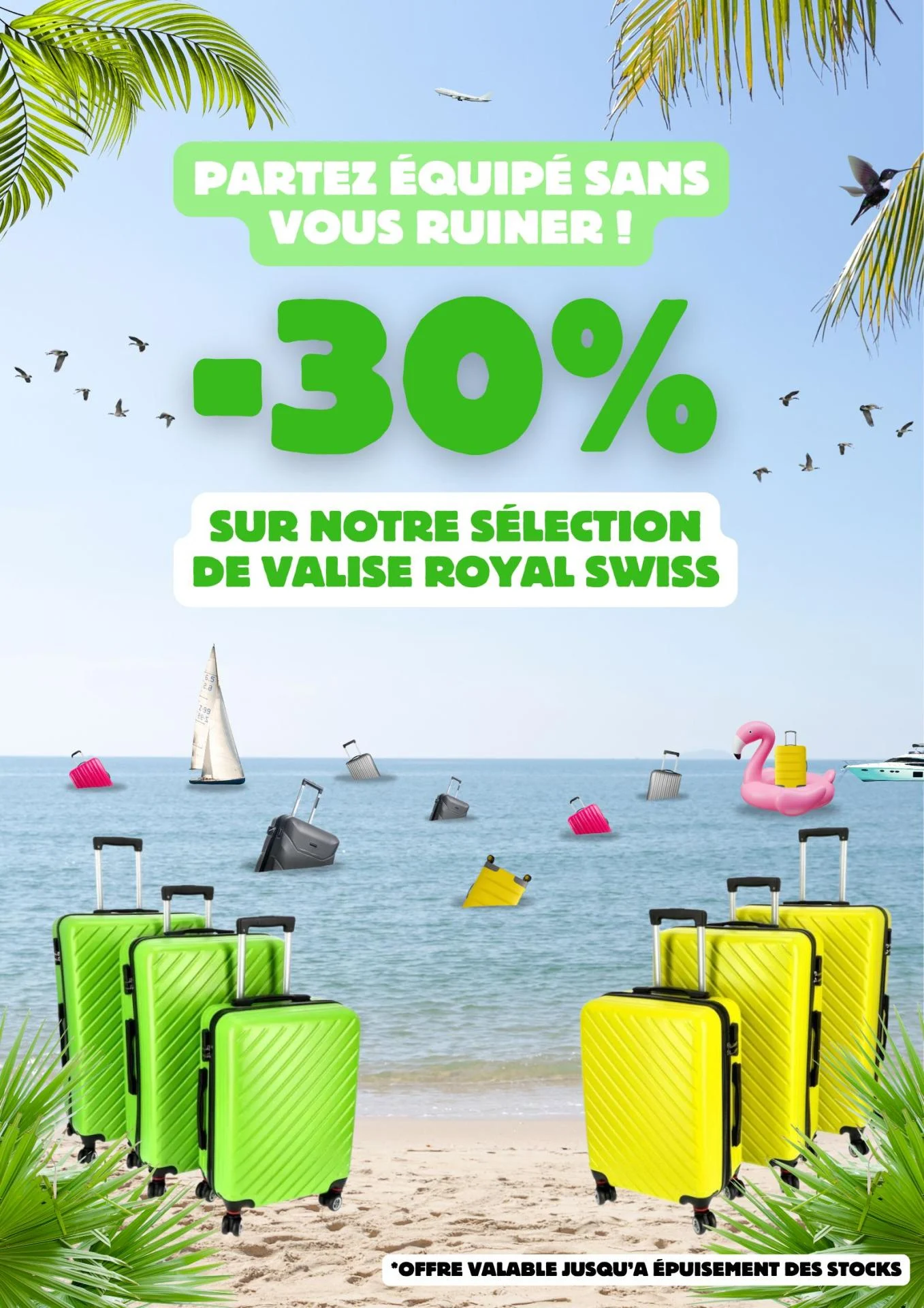 Affiche valise